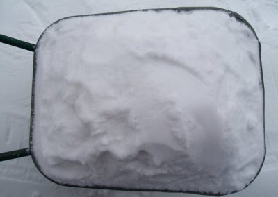 Janvier 2010