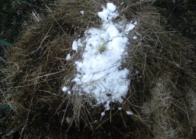Mars 2010