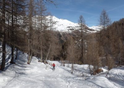 Montée à la Capanna Cristallina, 2570 m, depuis Bosco di Ossasco