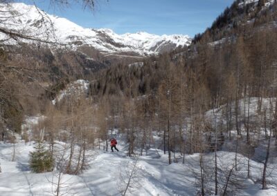 Montée à la Capanna Cristallina, 2570 m, depuis Bosco di Ossasco