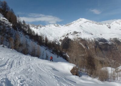 Montée à la Capanna Cristallina, 2570 m, depuis Bosco di Ossasco